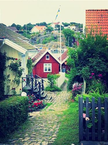 Nordic Roots & Branches